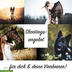 Fotoshooting für dich und dein Tier