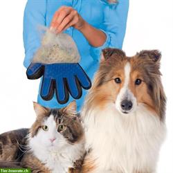 Bild 1: Katzen, Tierhaar Handschuh, Tierhaarentferner, entfernt lose Haare massiert