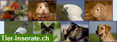 Bild 1: Online-Shop mit Hundefutter und Zubeh&#246;r