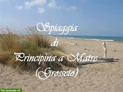 Bild 5: ITALIEN Toskana am Meer, Ferienwohnung mit Garten, Hunde erlaubt von PRIVAT