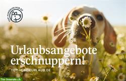 Top-Hundeurlaub.de - die schönsten Urlaubsangebote für Mensch und Hund!