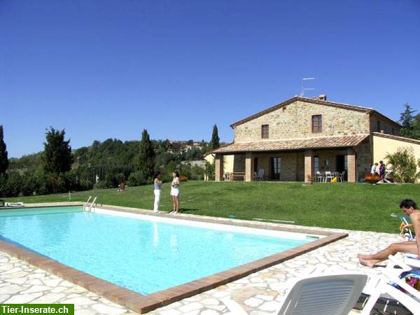 Urlaub mit Hund in der Toskana, Italien Tierinserat 282389