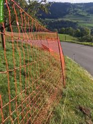 Bild 2: Gefl&#252;gelnetz Spezial zu verkaufen