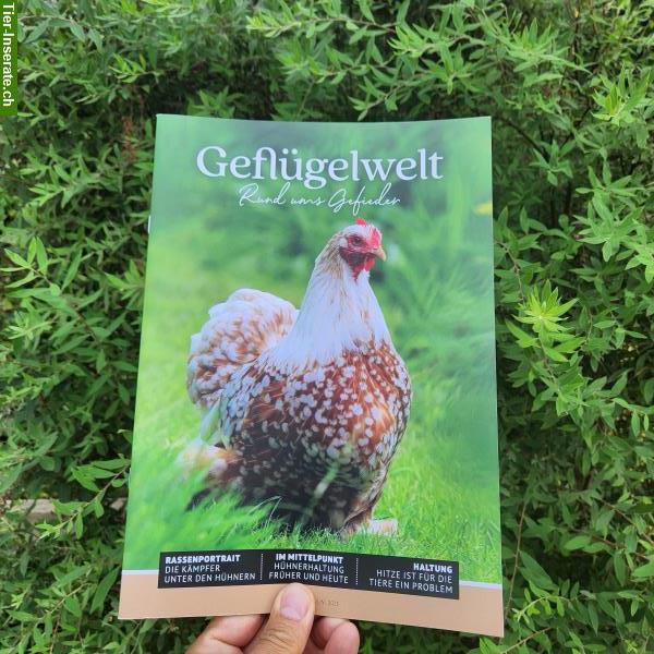 «Geflügelwelt» | das neue Fachmagazin für Geflügelhalter und -Züchter