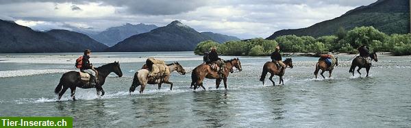 Bild 10: Reitferien, Pferdetrekking und Erlebnisaufenhalte Patagonien Argentinien