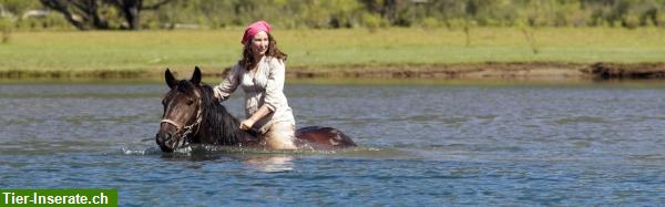 Bild 2: Reitferien, Pferdetrekking und Erlebnisaufenhalte Patagonien Argentinien