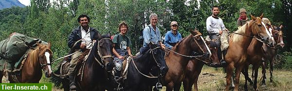 Bild 3: Reitferien, Pferdetrekking und Erlebnisaufenhalte Patagonien Argentinien