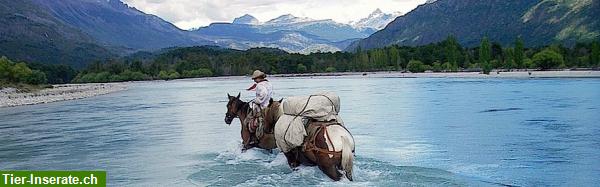Bild 8: Reitferien, Pferdetrekking und Erlebnisaufenhalte Patagonien Argentinien
