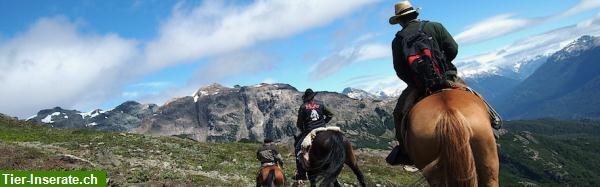 Bild 9: Reitferien, Pferdetrekking und Erlebnisaufenhalte Patagonien Argentinien