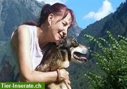 Tierkommunikation - Hundetraining - Verhaltenstherapie