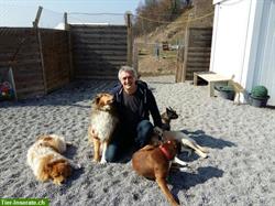 Lippi's Hundebetreuung in Hendschiken und Region
