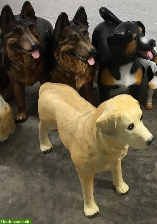 Bild 3: Lebensgrosse Dekohunde diverser Hunderassen zu verkaufen