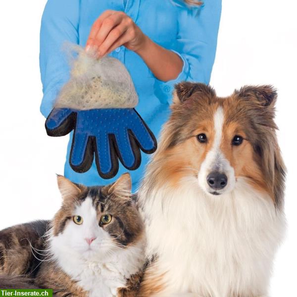 Katzen, Tierhaar Handschuh, Tierhaarentferner, entfernt lose Haare massiert