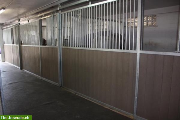 Bild 7: Stall mit Pferdeboxen als Teil- oder Selbstversorger zu vermieten