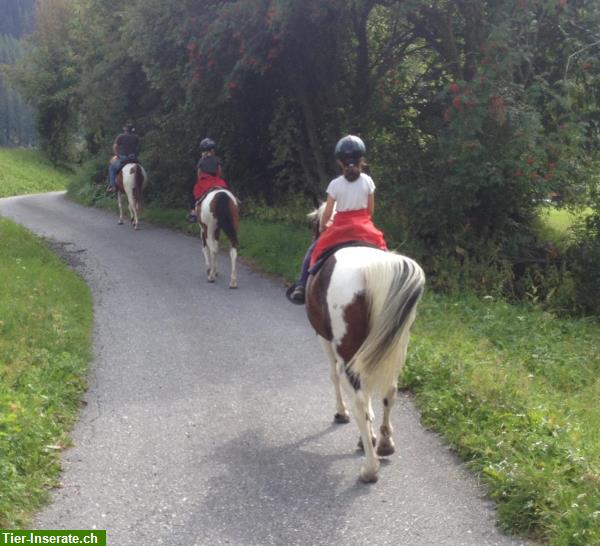 Bild 2: Ferien auf dem Pferdehof in Sta Maria im Naturpark Val Müstair