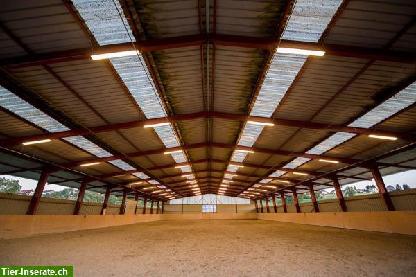 Bild 3: Pferdeboxen in sportliche Infrastruktur im Dompierre FR