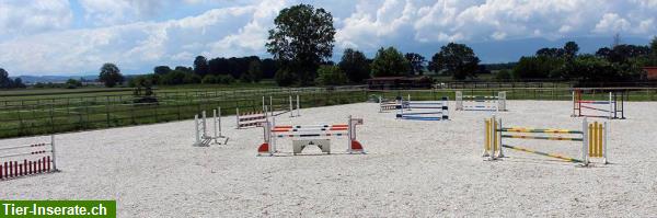 Bild 4: Pferdeboxen in sportliche Infrastruktur im Dompierre FR