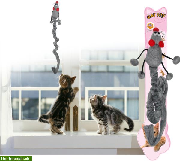 Bild 3: NEU: Katzen Spielmaus für ihre Lieblinge