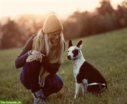 Pfote aufs Herz | Hundeschule im Zürcher Oberland mit Herz & Verstand