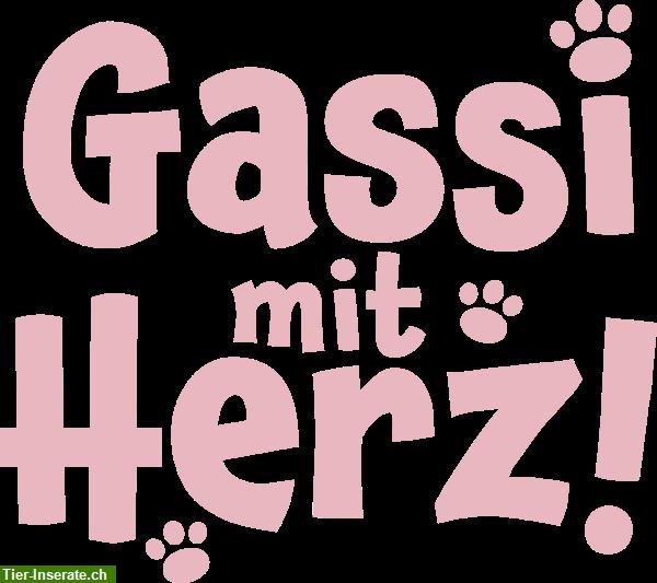 Bild 2: Gassi mit Herz GmbH - Ausgebildete Tierbetreuerin & Hundetrainerin