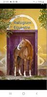 Praktikum auf Pferdebetrieb - Refugium Equestre