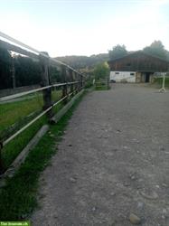 Offenstall Platz frei im Stall Gurtberg, Wattwil SG = für 2-4 Pferde