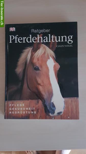 Bild 2: Verschiedene Fachbücher, Ratgeber Pferdeliteratur