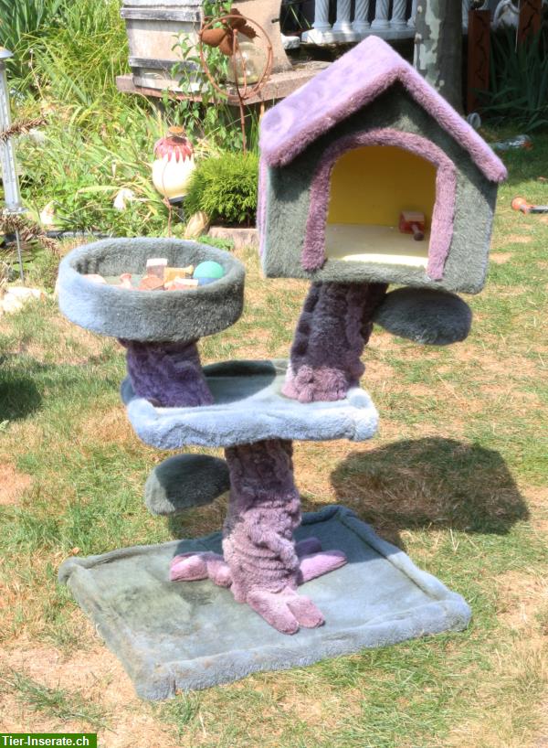 Bild 6: Tolles Baumhaus für Katzen oder auch Papageien
