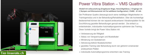 Bild 2: Trainingsgerät für Pferde Power Vibra Station - VMS Quattro,