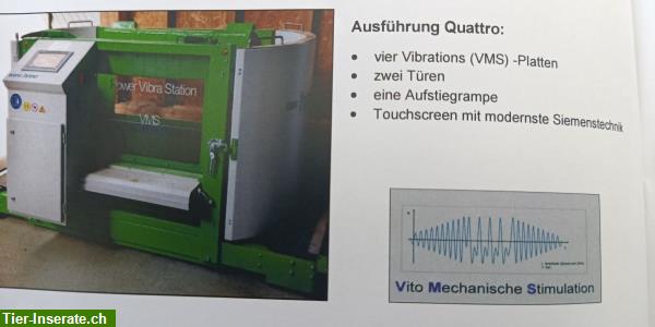 Bild 3: Trainingsgerät für Pferde Power Vibra Station - VMS Quattro,