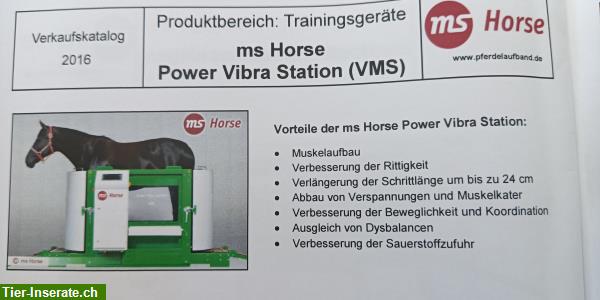 Bild 4: Trainingsgerät für Pferde Power Vibra Station - VMS Quattro,
