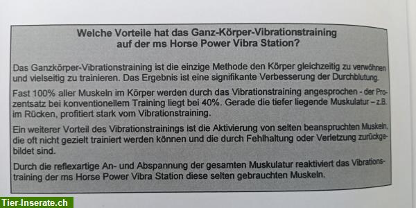 Bild 6: Trainingsgerät für Pferde Power Vibra Station - VMS Quattro,