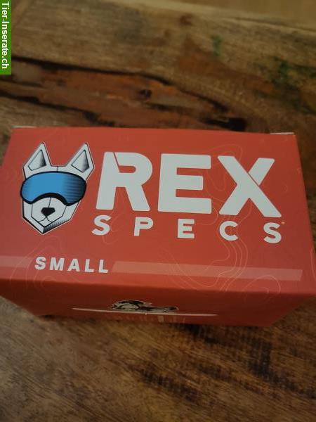 Bild 4: REX Specs Hundebrille in Grösse S