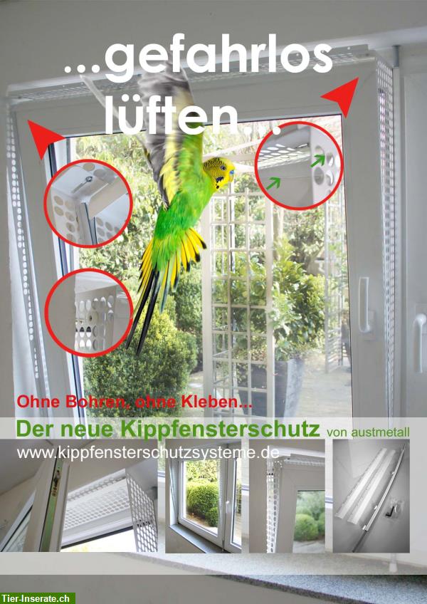 Kippfensterschutz für Vögel von austmetall, System4 ohne Bohren ohne Kleben