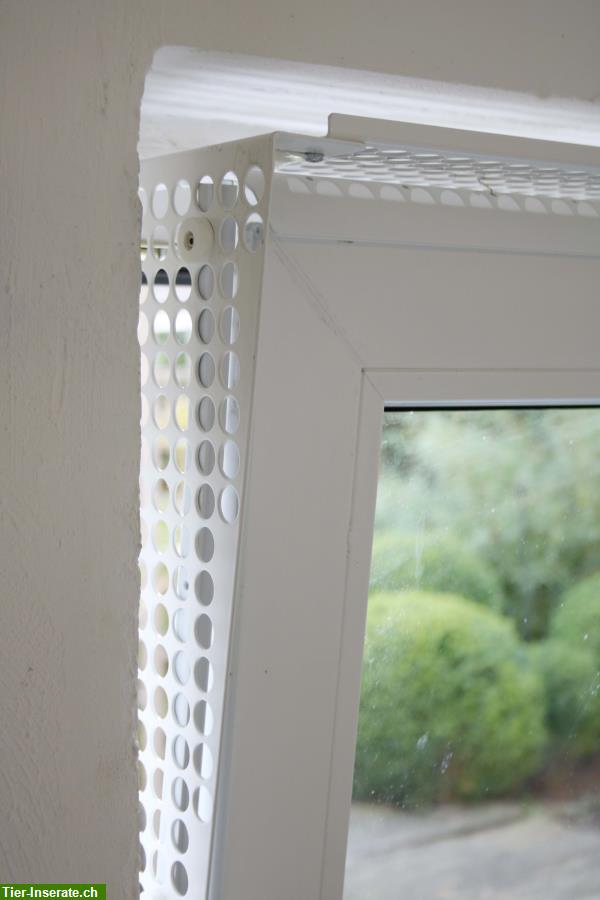 Bild 7: Kippfensterschutz für Vögel von austmetall, System4 ohne Bohren ohne Kleben