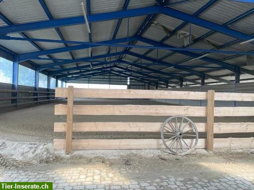 Bild 7: Pferdeboxen zu vermieten in Bonndorf im Schwarzwald