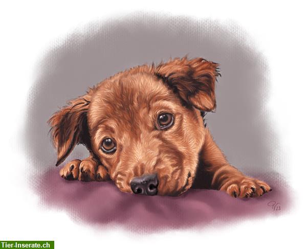 Bild 3: Tier-/Hundeportraits ab Foto per JPEG-Datei