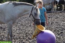 Pferdelager für Kinder und Jugendliche