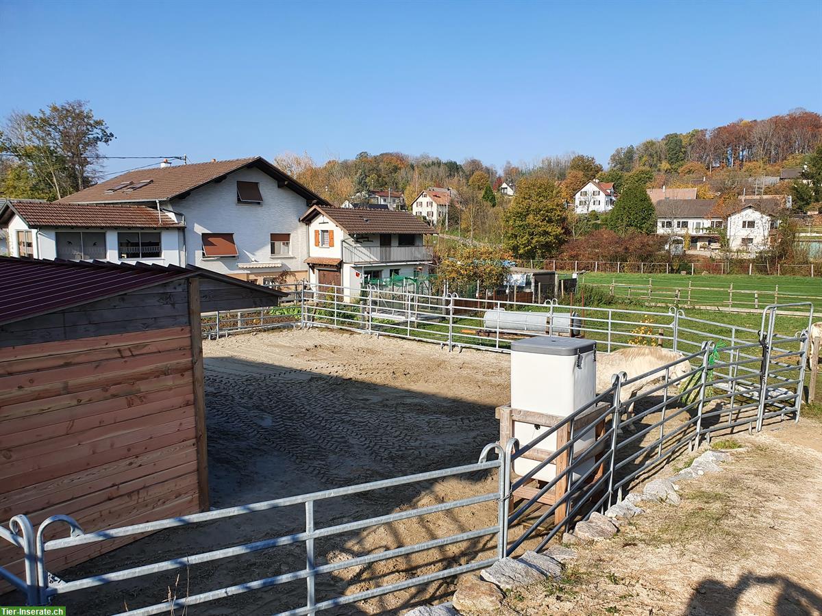 Bild 4: Riegelhaus mit Pferdeinfrastruktur | 15 Min. ab CH-Grenze bei Basel