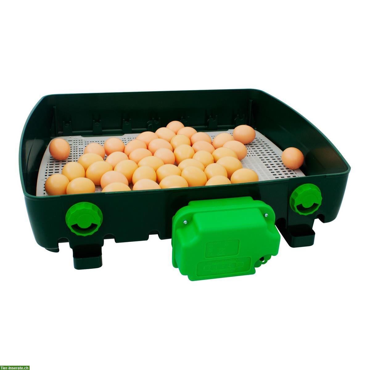 Bild 3: River ET Super Inkubator, Brutapparat für 49 Eier, neustes Modell
