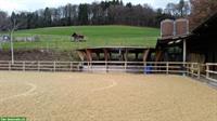 Neue grosse Pferdeboxe mit grossem Auslauf in Schenkon bei Sursee