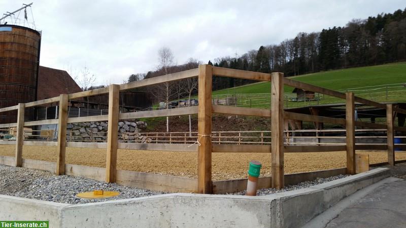 Bild 2: Neue grosse Pferdeboxe mit grossem Auslauf in Schenkon bei Sursee