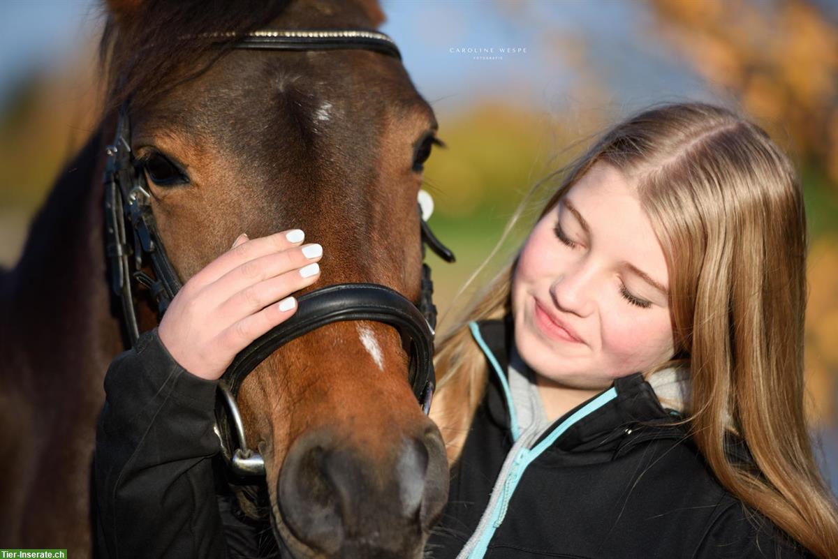 Bild 8: 🐴Pferdefotoshooting in der Schweiz / Fotoshooting / Pferdeshooting