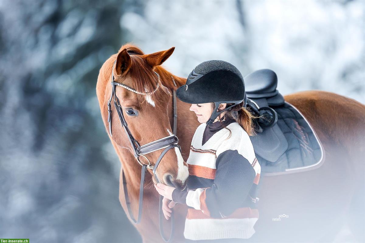 Fotoshooting mit deinem Pferd im Winter | Pferdeshooting