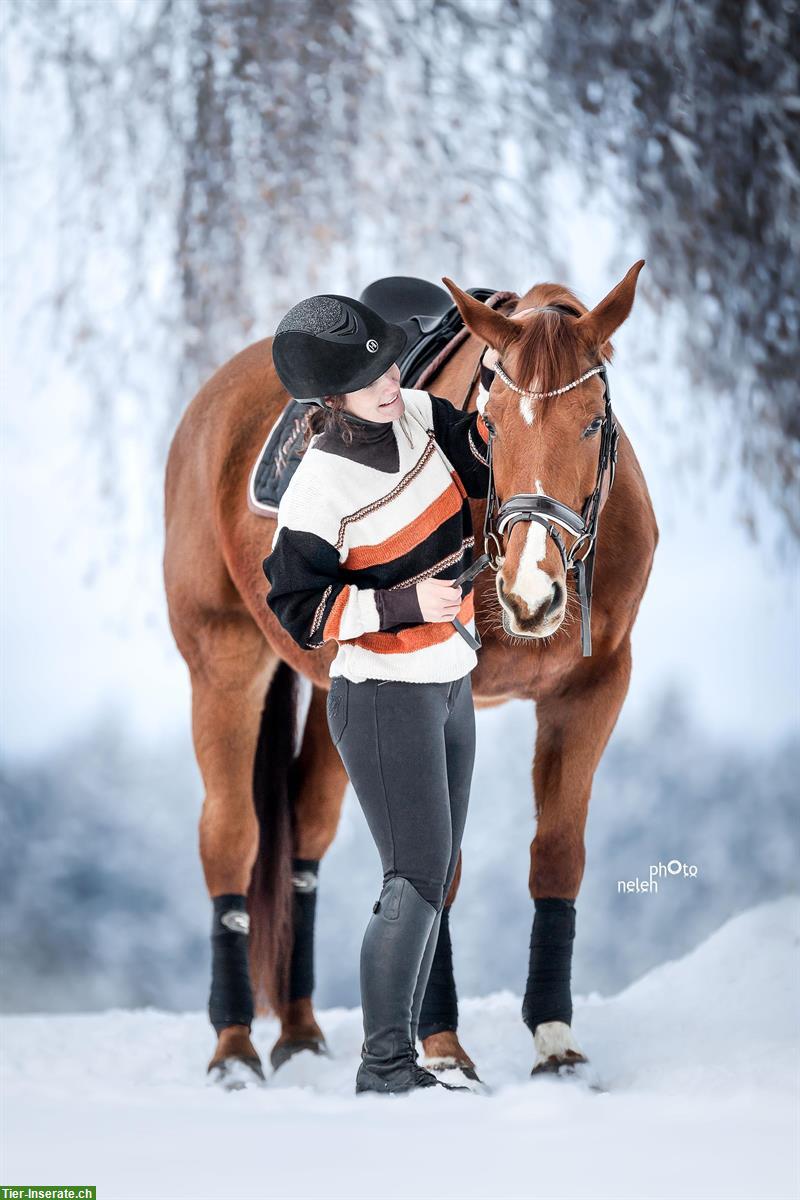 Bild 2: Fotoshooting mit deinem Pferd im Winter | Pferdeshooting