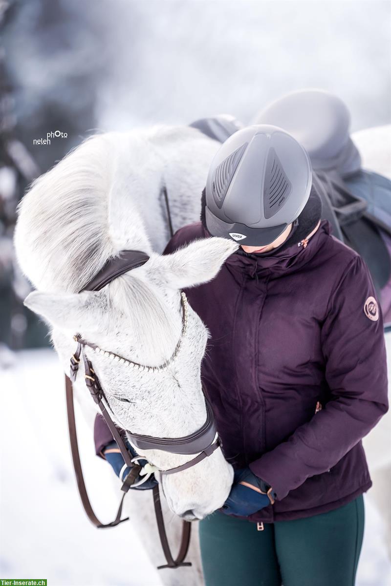 Bild 3: Fotoshooting mit deinem Pferd im Winter | Pferdeshooting