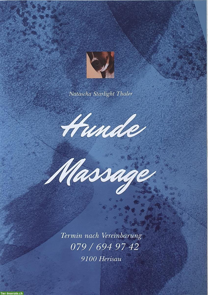 Hunde Massage für Ihren Vierbeiner