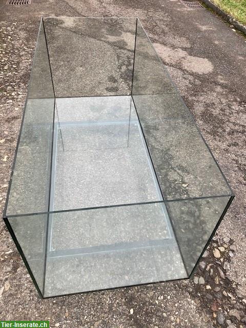 Bild 3: Grosses Glasterrarium 180x75x70cm zu verkaufen