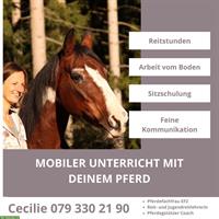 Mobiler Reitunterricht - Mit deinem eigenen Pferd in deinem Stall