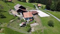 Freie Offenstallplätze auf Bio-Bauernhof in Wald ZH Oberland